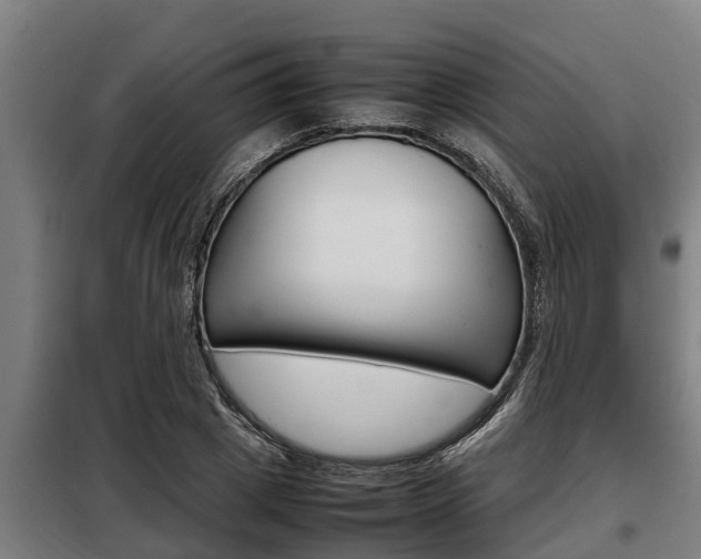 X0000098070833200804040726