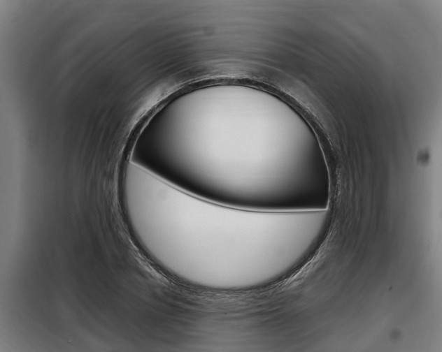 X0000098070834200804040726
