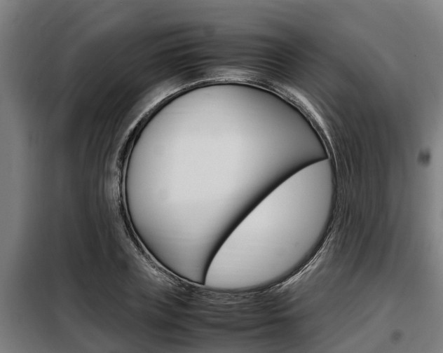 X0000098070835200804040726