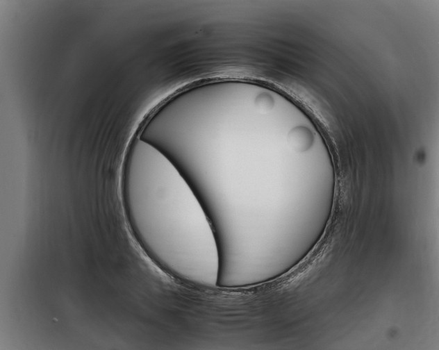 X0000098070839200804040726