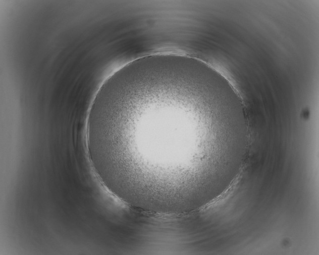 X0000098070840200804040726