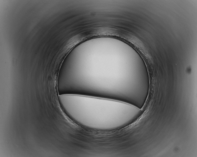 X0000098070841200804040726