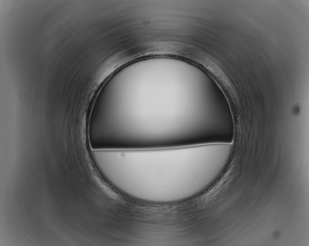 X0000098070842200804040726