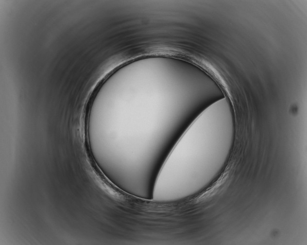 X0000098070843200804040726