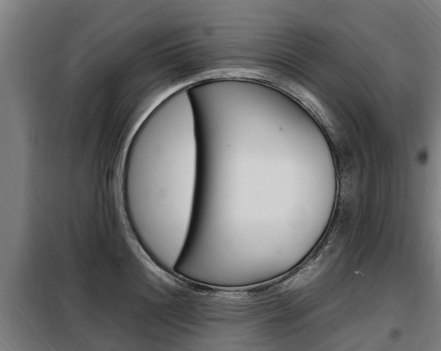 X0000098070844200804040726