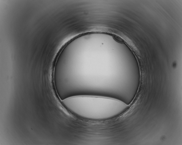 X0000098070846200804040726