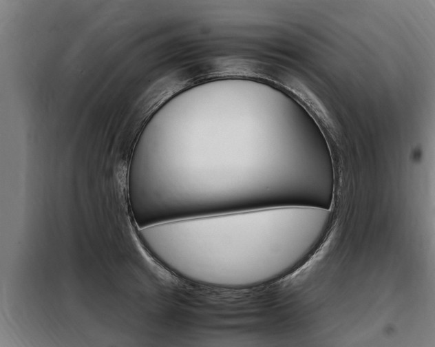 X0000098070849200804040726