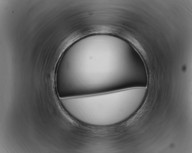X0000098070850200804040726