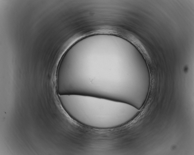 X0000098070852200804040726