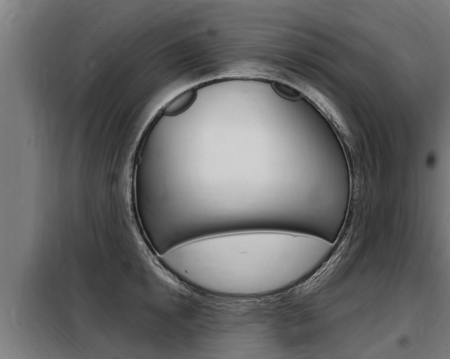 X0000098070854200804040726