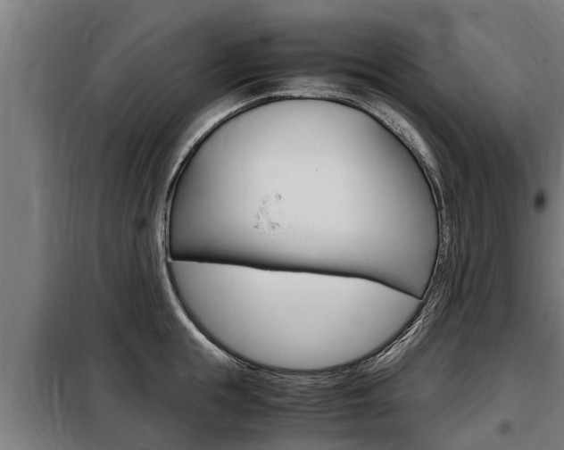 X0000098070855200804040726