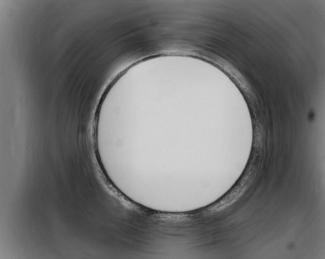 X0000098070856200804040726