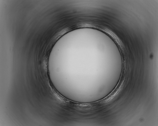 X0000098070857200804040726