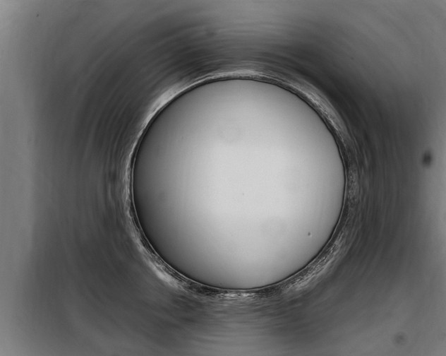 X0000098070858200804040726