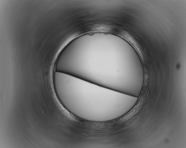 X0000098070859200804040726