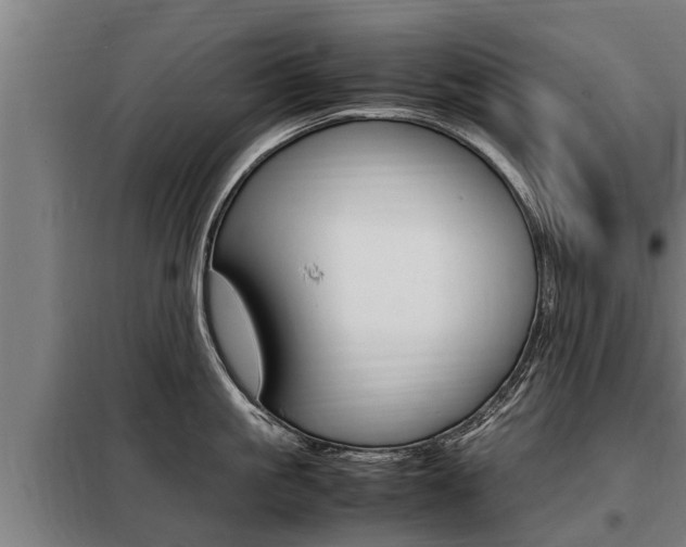 X0000098070861200804040726