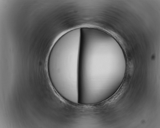 X0000098070862200804040726