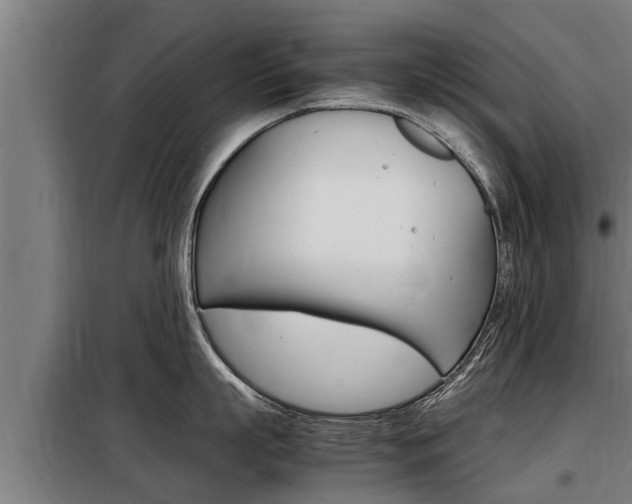 X0000098070863200804040726