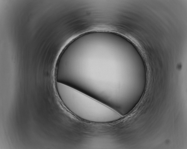 X0000098070864200804040726