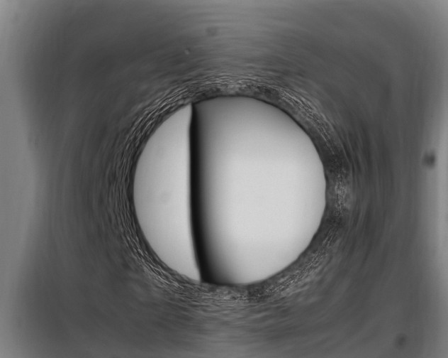 X0000098070865200804040725