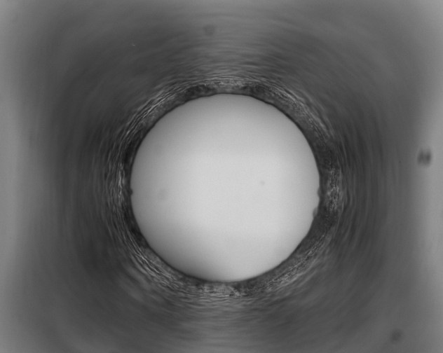 X0000098070866200804040725