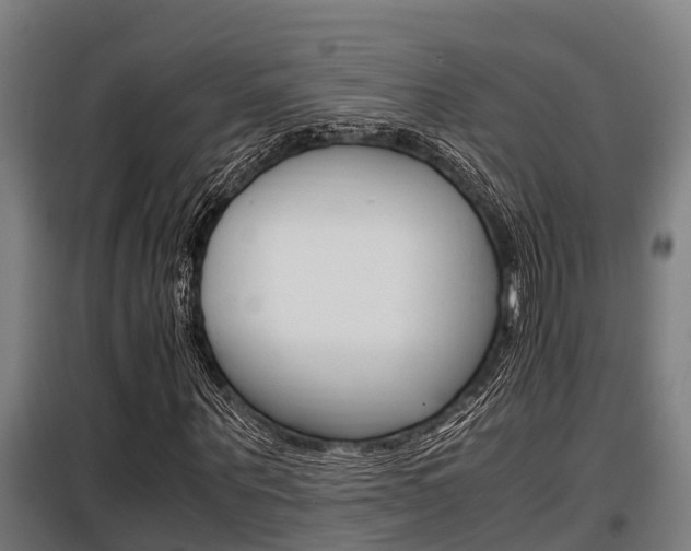 X0000098070867200804040725