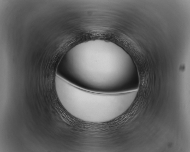 X0000098070868200804040725