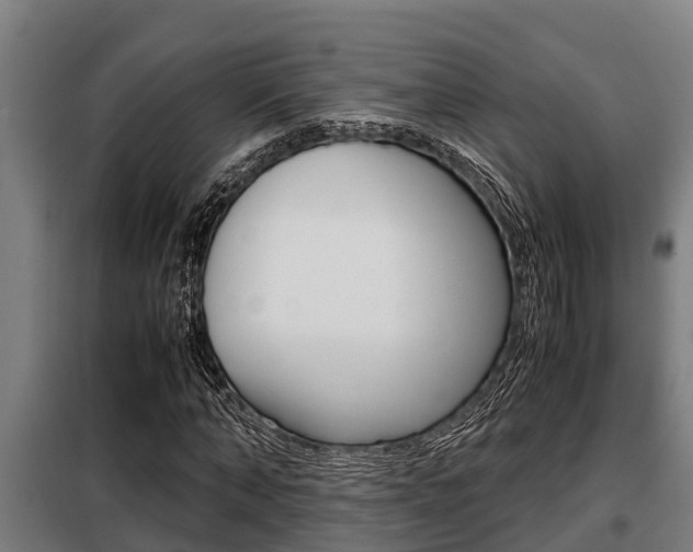 X0000098070870200804040725