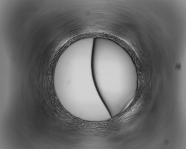 X0000098070871200804040725