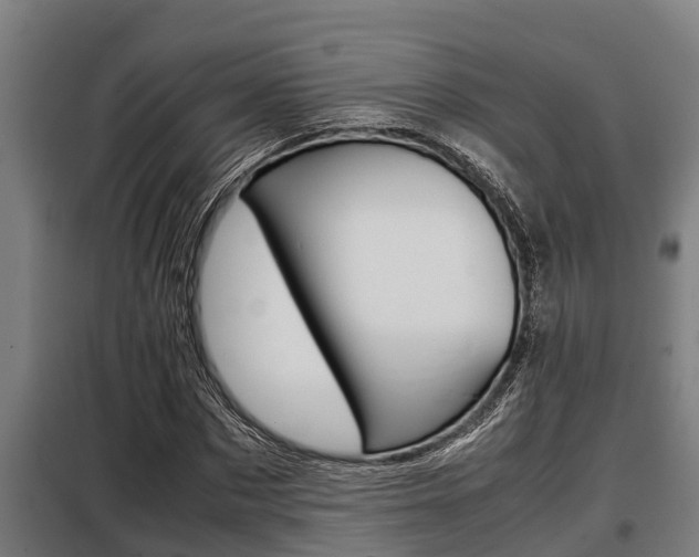 X0000098070873200804040725