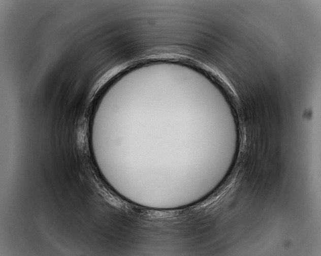 X0000098070874200804040725