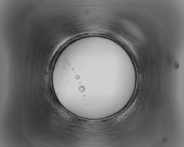 X0000098070875200804040725