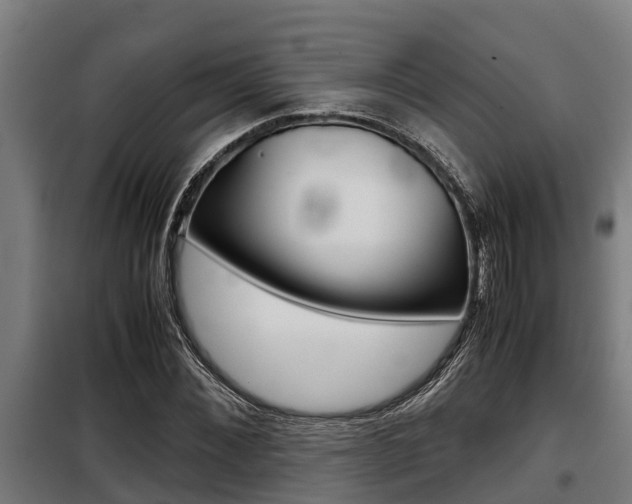 X0000098070876200804040725