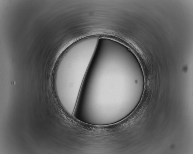 X0000098070877200804040725