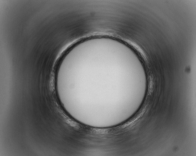 X0000098070878200804040725