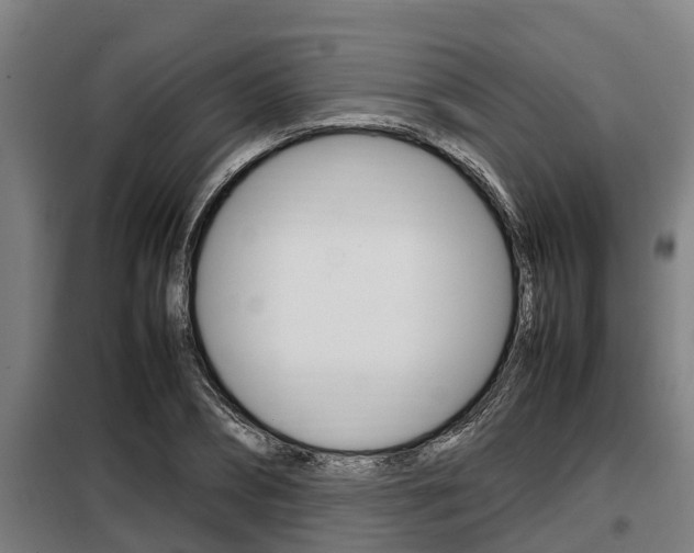 X0000098070882200804040725