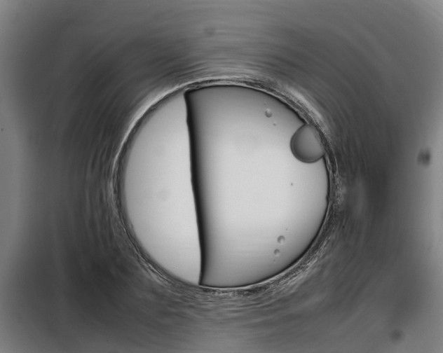 X0000098070883200804040725