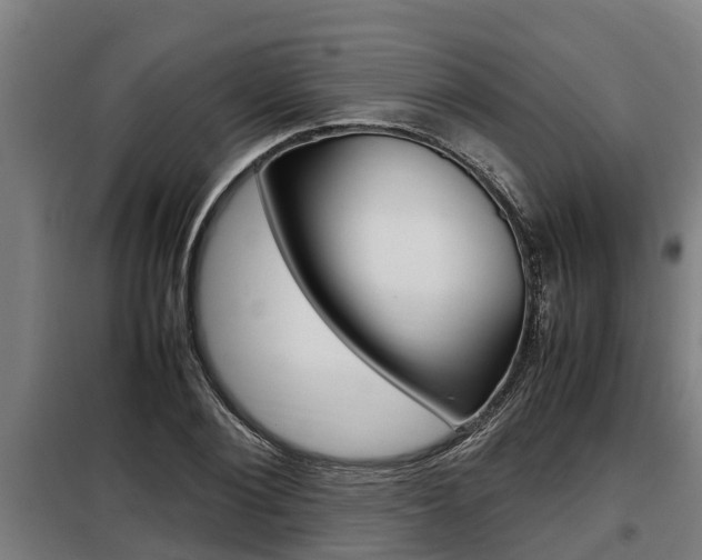 X0000098070884200804040725