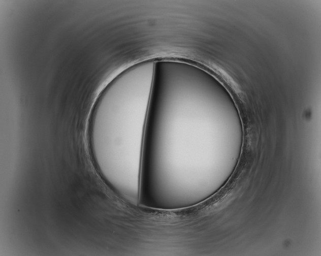 X0000098070885200804040725