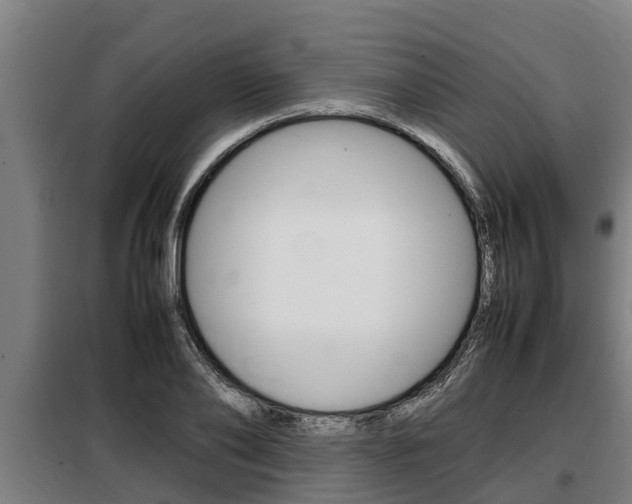 X0000098070886200804040725