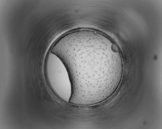 X0000098070887200804040725