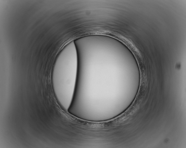 X0000098070889200804040725