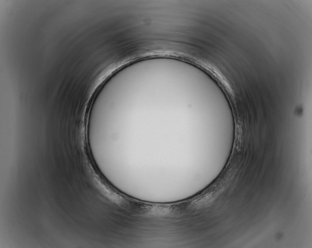 X0000098070890200804040725
