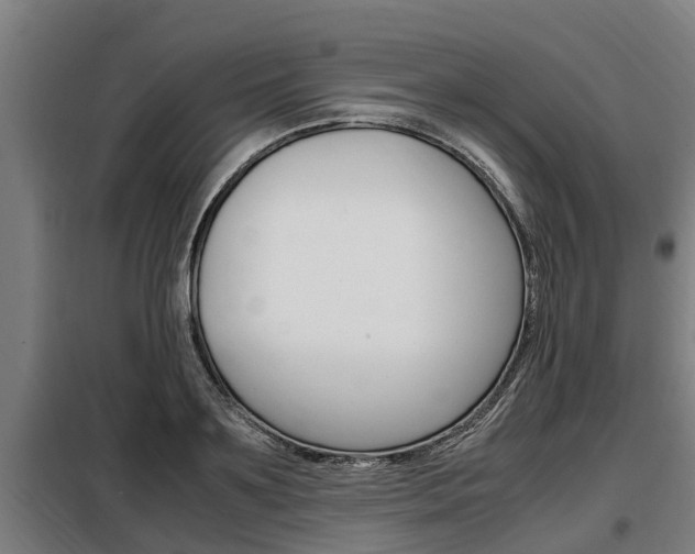 X0000098070891200804040725