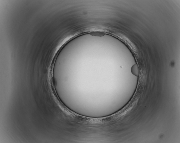 X0000098070893200804040725