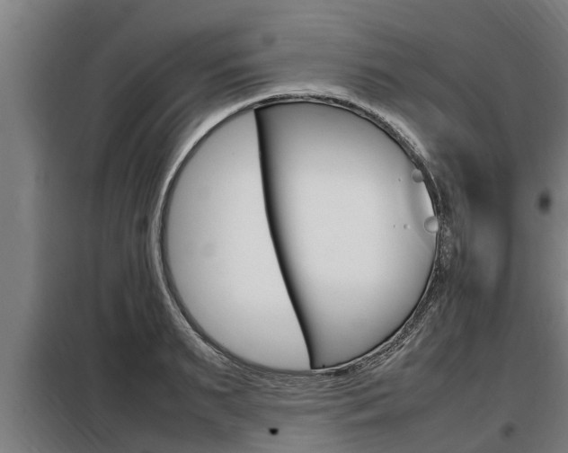 X0000098070895200804040725