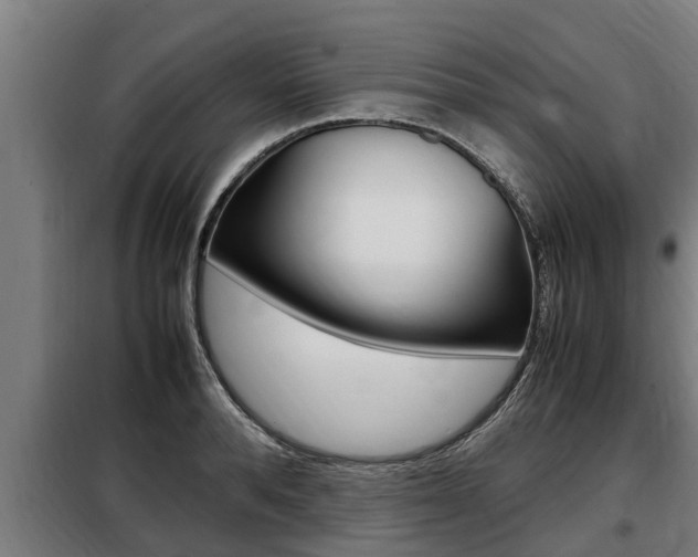 X0000098070896200804040725