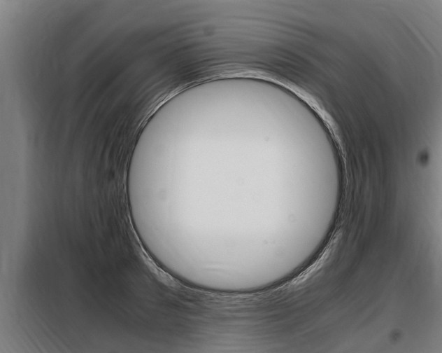 X0000098070897200804040725