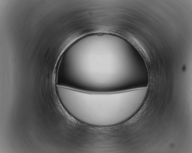 X0000098070900200804040725