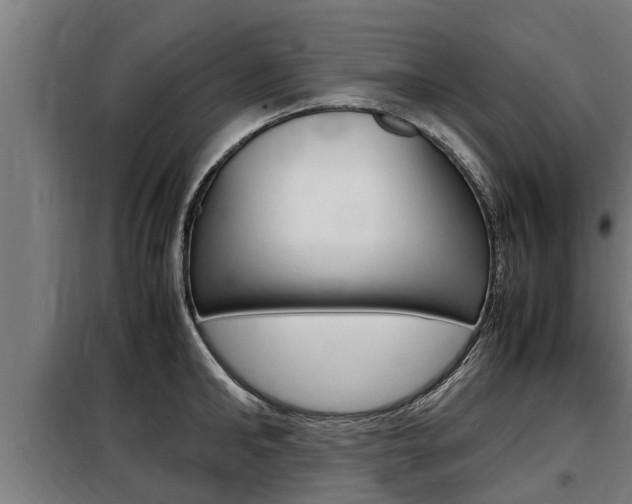X0000098070902200804040724